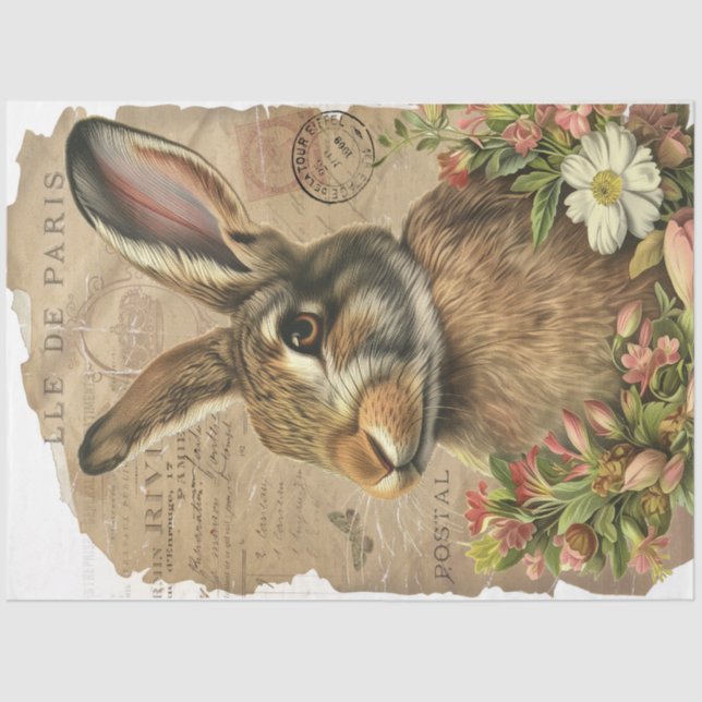 Papier Mousseline Lapin vintage (Recto)