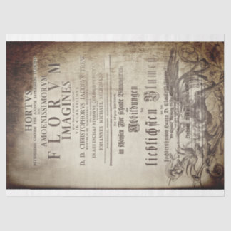 Papier Mousseline Latin scrollwork