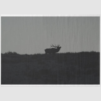 Papier Mousseline Le Dernier Bugle