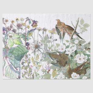 Papier Mousseline Le fleur sauvage d'oiseau de colombe d'Audubon