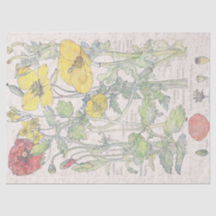Papier Mousseline Le fleur sauvage vintage de pavot fleurit le
