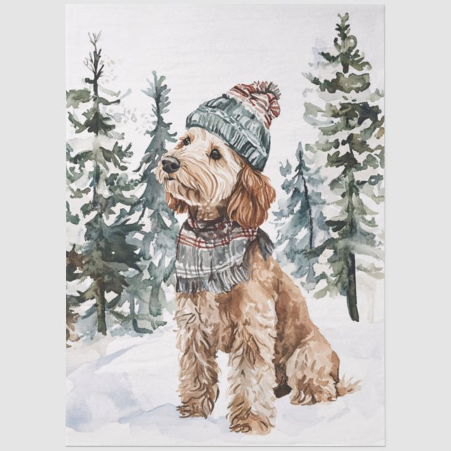 Papier Mousseline Le Labradoodé d'hiver en Casquette et la décomposi (Recto)