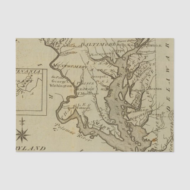 Papier Mousseline Le Maryland 5 (Recto)