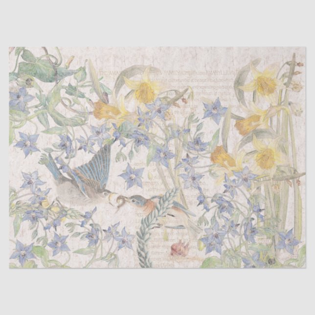 Papier Mousseline Le narcisse d'oiseaux d'oiseau bleu fleurit le (Recto)