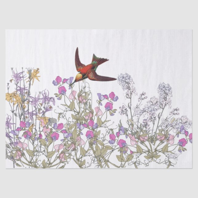 Papier Mousseline Le pois doux d'oiseau de colibri fleurit le papier (Recto)