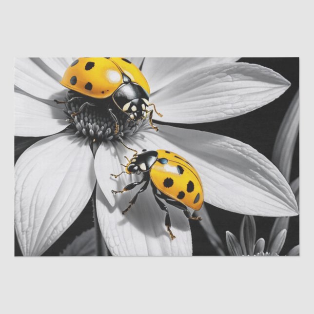 Papier Mousseline Le scarabée jaune sur la fleur blanche noire (Recto)