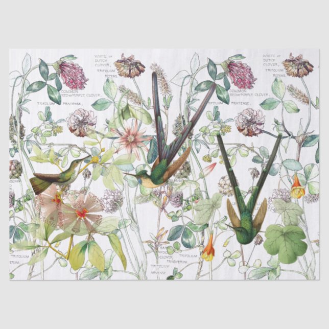 Papier Mousseline Le trèfle d'oiseaux de colibri fleurit le papier (Recto)