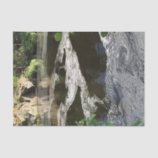 Papier Mousseline L'eau et arbres