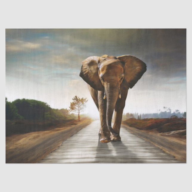 Papier Mousseline L'éléphant (Recto)