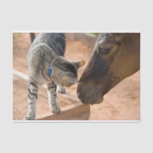 Papier Mousseline Les amis du chat et du cheval