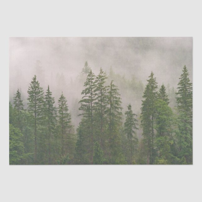 Papier Mousseline Les arbres de la forêt de Foggy (Recto)