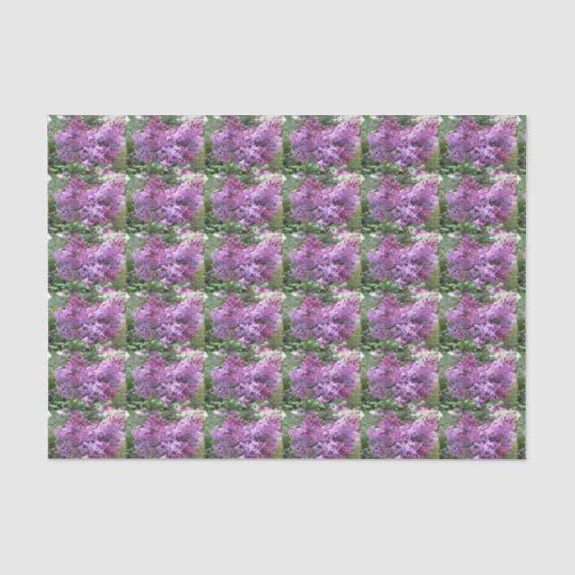Papier Mousseline Les beaux lilas (Recto)