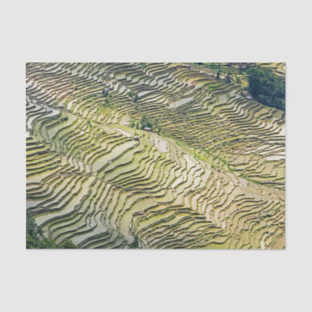 Papier Mousseline Les célèbres terrasses de riz yuanyang - Yunnan, C (Recto)