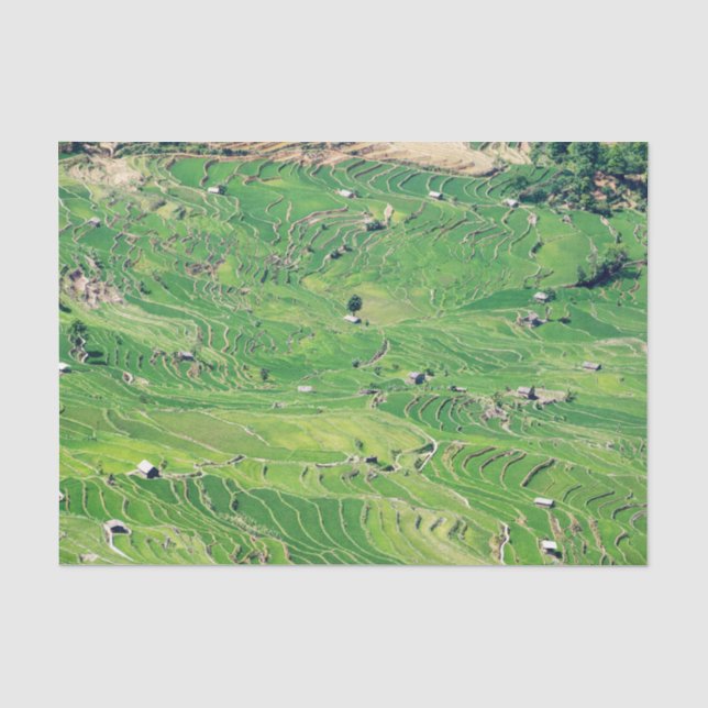 Papier Mousseline Les célèbres terrasses de riz yuanyang - Yunnan, C (Recto)