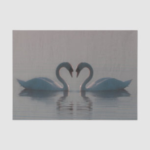 Papier Mousseline Les cygnes bleus doivent être amoureux