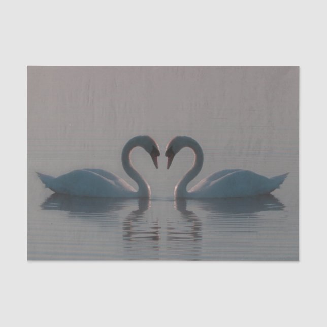 Papier Mousseline Les cygnes bleus doivent être amoureux (Recto)