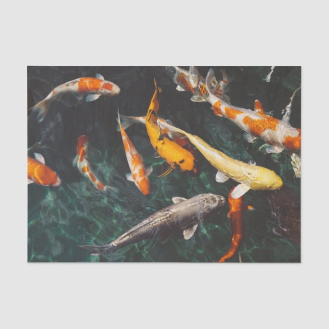 Papier Mousseline Les poissons chinois nagent dans l'eau (Recto)