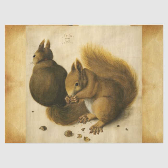 Papier Mousseline L'ESCALIER AVEC LES NUTS Albrecht Durer Parchemin (Recto)