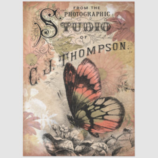 Papier Mousseline Lettre de studio photographique papillon floral vi