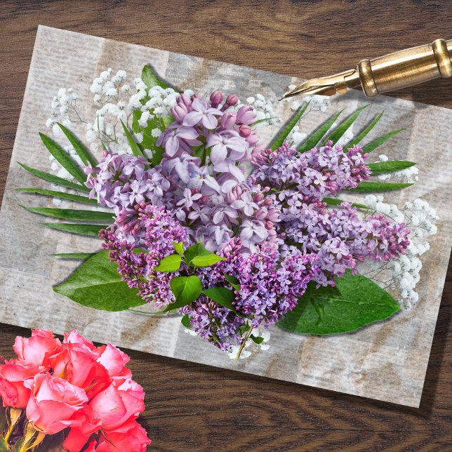 Papier Mousseline Lilac Baby Respiration Bouquet Découpage Tissu Pap (Créateur téléchargé)