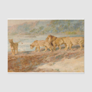 Papier Mousseline Lions sur la rive d'un fleuve africain