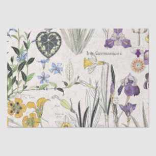 Papier Mousseline L'iris français de Nouveau d'art fleurit le papier