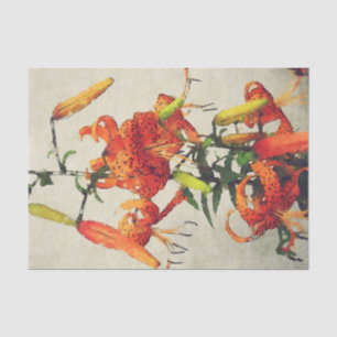 Papier Mousseline Lis lis tigré aquarelle orange 1