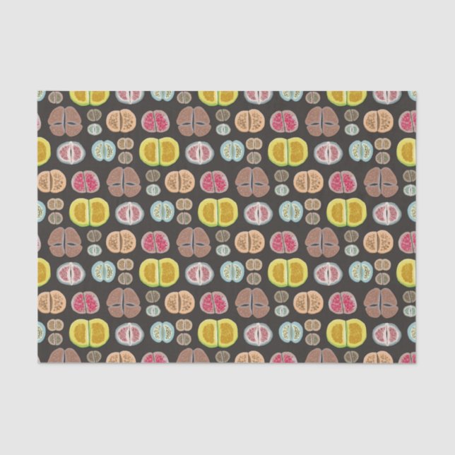 Papier Mousseline Lithops (Recto)