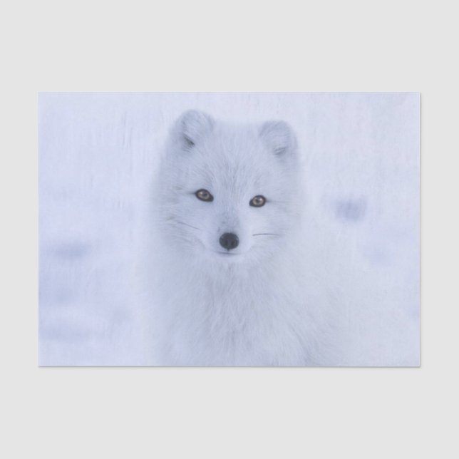 Papier Mousseline Livre blanc renard blanc (Recto)