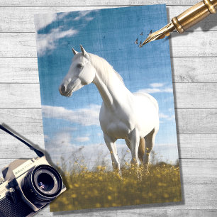 Papier Mousseline Livre de découpage du Cheval blanc 1