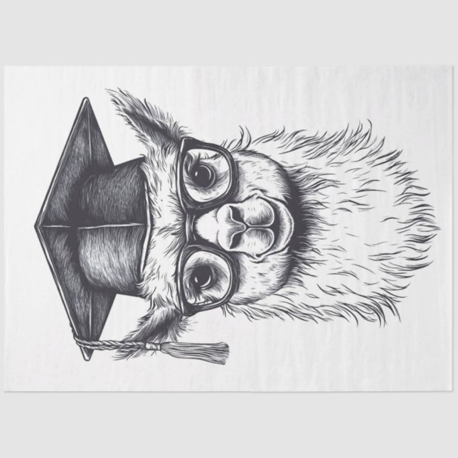 Papier Mousseline Llama (Recto)