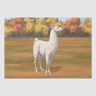 Papier Mousseline Llama blanche dans les pâturages agricoles d'autom