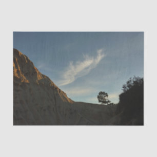 Papier Mousseline Lone Torrey Pine Californie Sunset Paysage