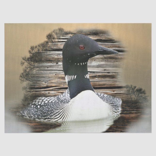 Papier Mousseline Loon (Recto)