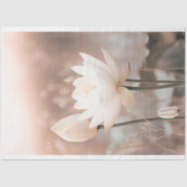 Papier Mousseline Lotus blanc, Rose Rose, Herbe Pampas, lac brumeux