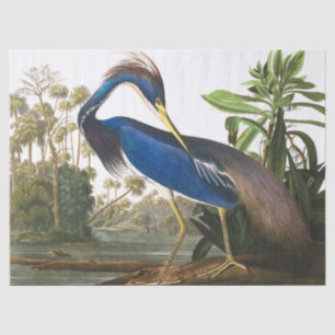 Papier Mousseline Louisiana Heron par John James Audubon