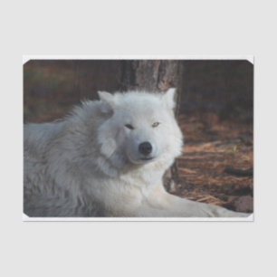 Papier Mousseline Loup arctique adorable