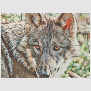 Papier Mousseline loup cinglé