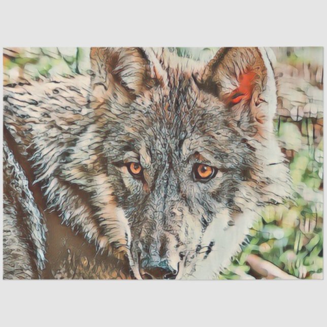 Papier Mousseline loup cinglé (Recto)