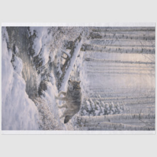 Papier Mousseline Loup d'hiver