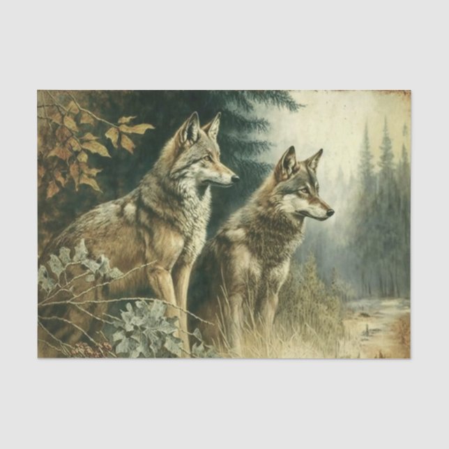 Papier Mousseline Loups argentés (Recto)