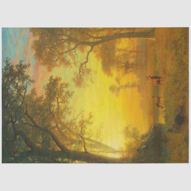 Papier Mousseline Lumière dans la forêt (par Albert Bierstadt) (Recto)