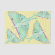 Luna Moth sur jaune