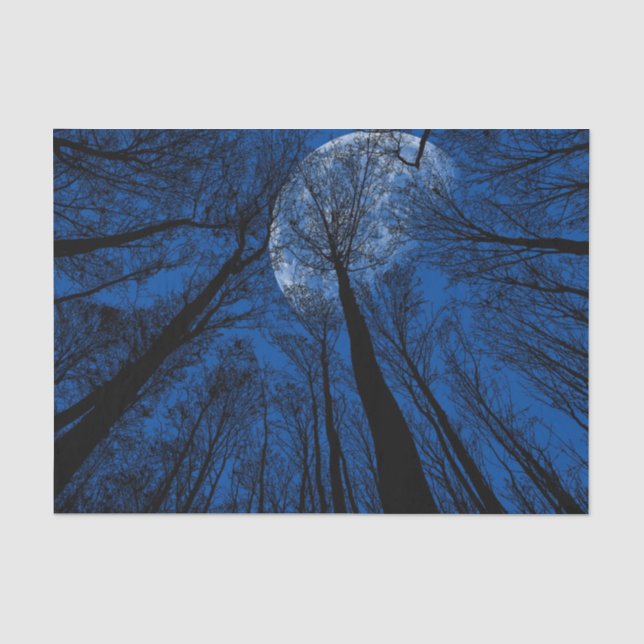 Papier Mousseline Lune dans le ciel nocturne (Recto)