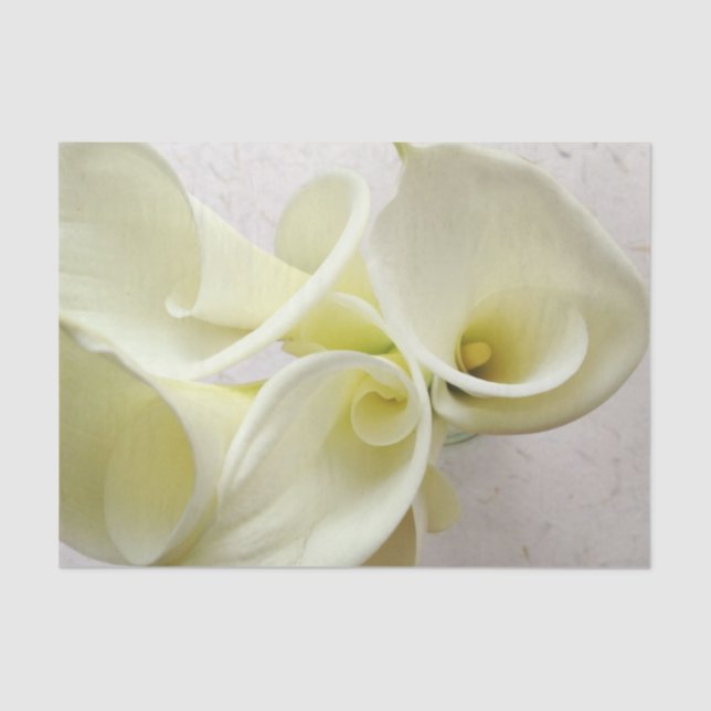 Papier Mousseline Lys calcaires blancs d'en haut (Recto)