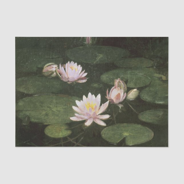 Papier Mousseline Lys d'eau (rose) par Abbott Thayer (Recto)
