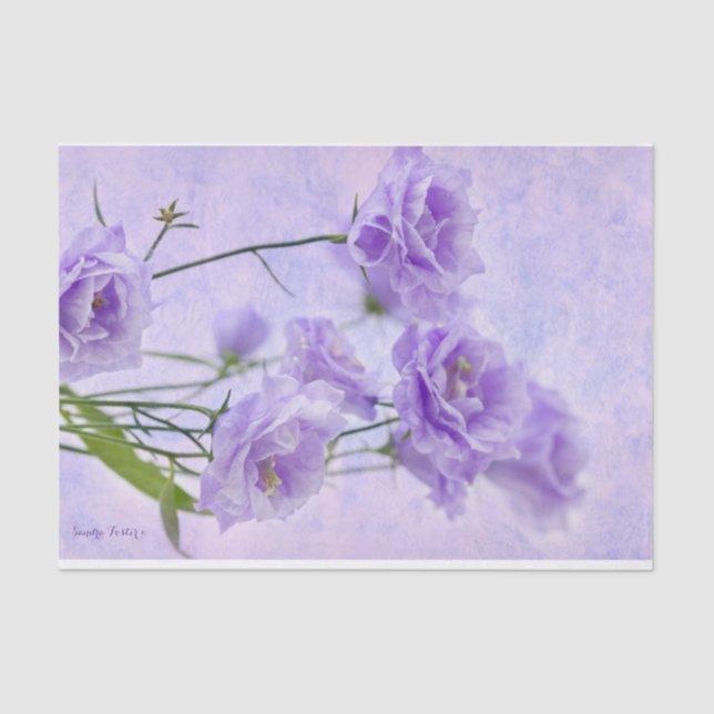 Papier Mousseline Macro Fleurs Campanella Violet (Recto)