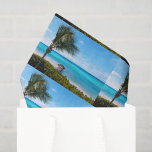 Papier Mousseline Magnifique motif d'arbre de palme venteux de plage
