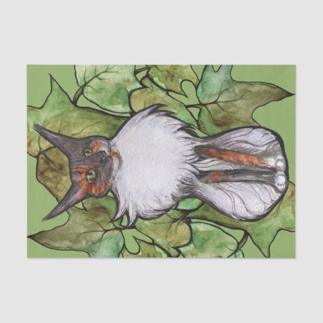 Papier Mousseline Maine Coon Chat Ivy Dilute Calico (Recto)