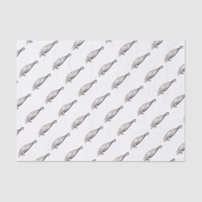 Papier Mousseline Manati (Recto)